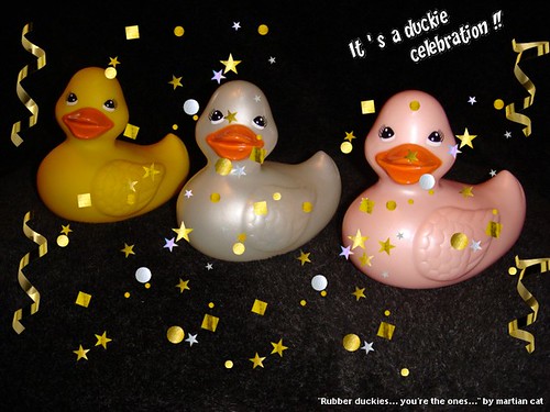 Rubber duckies... you're the ones...