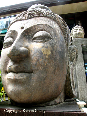 Buddha-heads