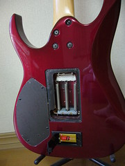 Ibanez RG770 S_Ishimaru Custom(4)
