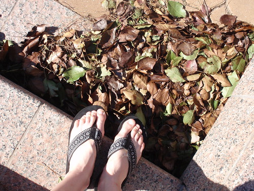 Leaves and Flops