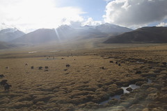 Qinghai - Tibet Train Ride