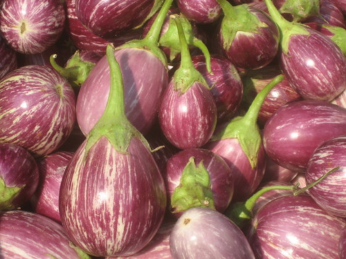 Farmer's Market Eggplant