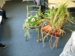 plant chair