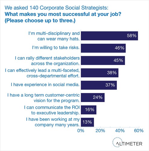 Success Skills of the Corporate Social Strategist