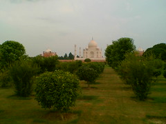 Taj Mahal - From Mehtab Bagh-2