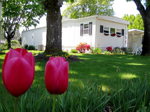 Buy New And Used Mobile Homes