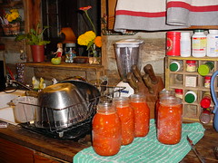 Tomatoes in the jars
