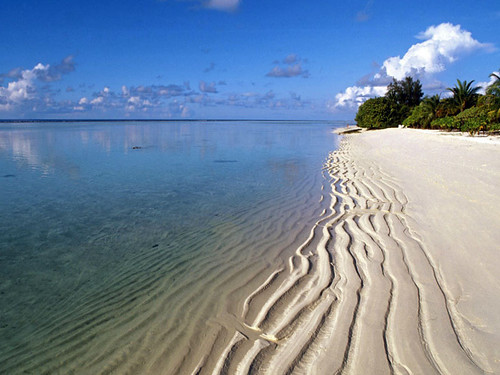 Maldive - Atollo di Ari
