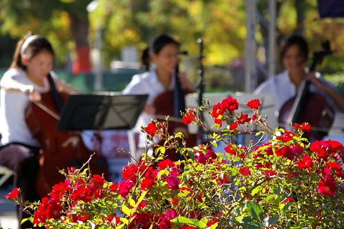 young musicians with Pentax DA 50-200