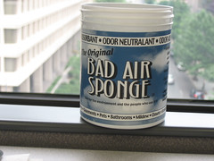 Bad Air Sponge 061907
