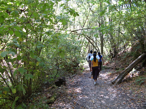 Hikers on the Creek Trail