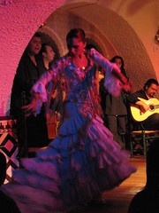 Flamenco in color