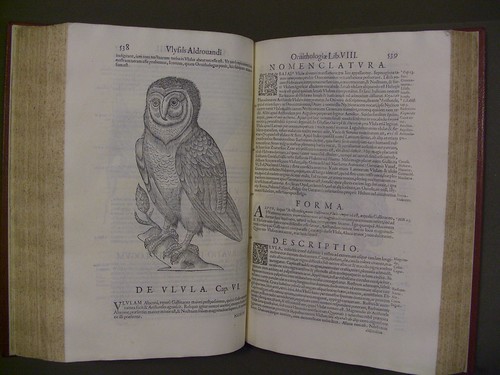 Vlyssis Aldrovandi ... Ornithologiae, hoc est de avibvs historiae, libri XII ... Owl
