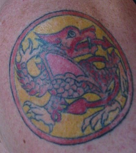 celtic dragon tattoo on my right 
