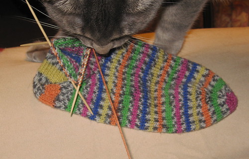 Regia rainbow socks w cat
