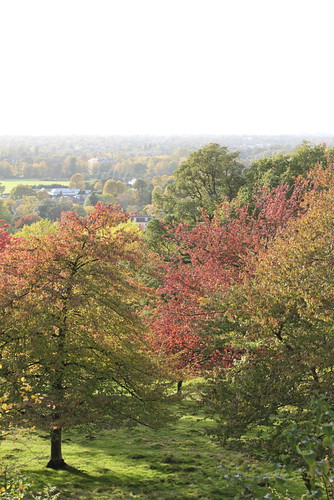 Another view across Surrey from Richmond Park