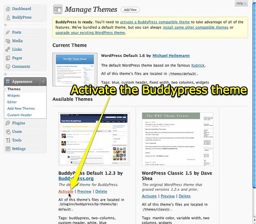 Activate the Buddypress Theme