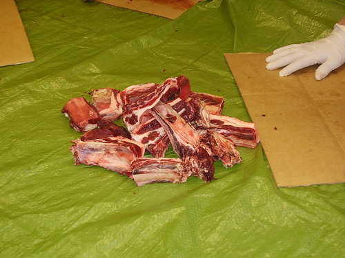 Eskimo Food- Caribou ribs