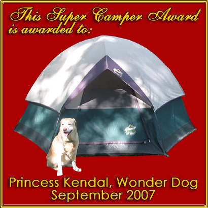 Super Camper Award