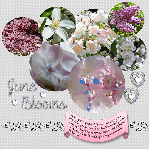June Blooms