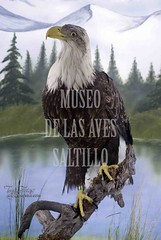 Museo de las Aves Saltillo