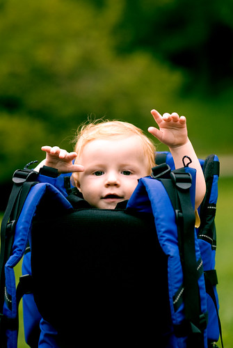 Photo: Baby in a backpack. By Andrew Walsh.