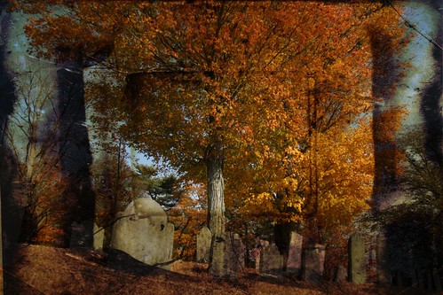 Graveyard 3 with Halloween Texture