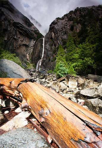 Lower Yosemite Falls Study 6