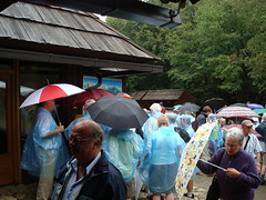 Crowd of Visitors at Park Entrance