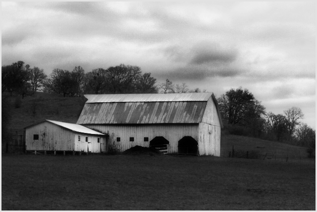 Black and White Barn