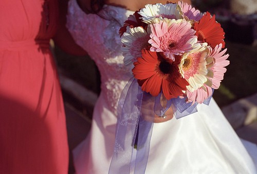purple gerbera wedding flowers