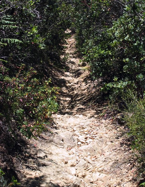 Temelpa Trail