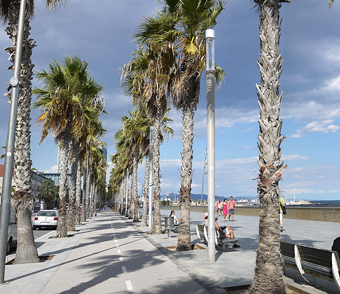 Barcelona Street and Beach 巴塞隆納 街道與海灘