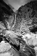Lower Yosemite Falls Study 15 (B&W)