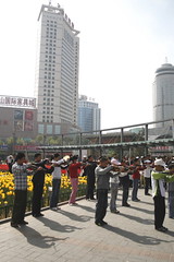 Xining - tulips at Zhongxin Square