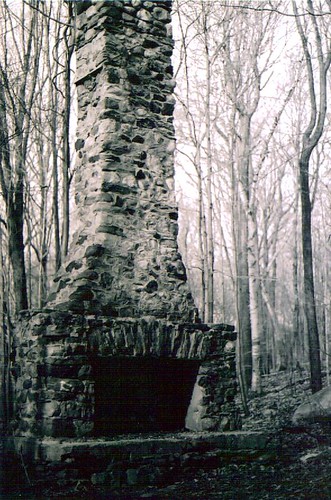 chimney in the woods