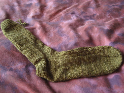 olive sock