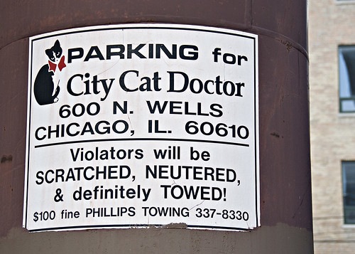 cat doctor parking area