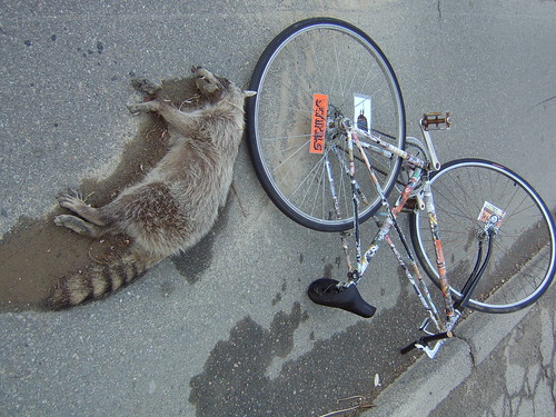Bicykiller Roadkill