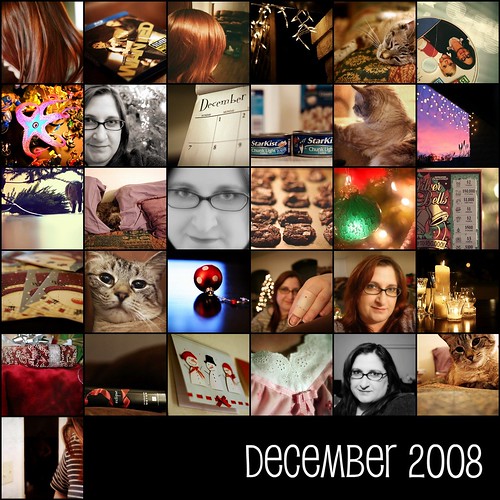 December 2008  [project 365]