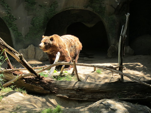 Zoo - June 2010