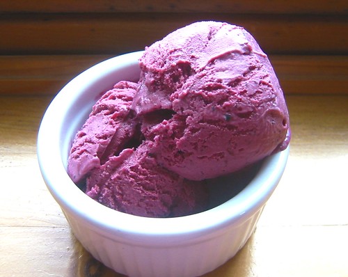 Blueberry Ice Cream (158-5898_IMGedit)