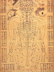 acupuncture chart by seventeenstars