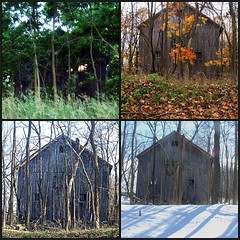 Four Seasons - The abandoned barn on Gresham