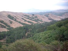 view from the Tilden/Sibley parks trail