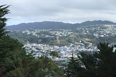 NZ 043