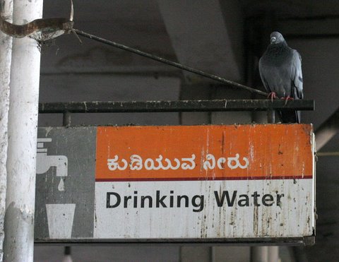 Majestic bus stand Drinking Water