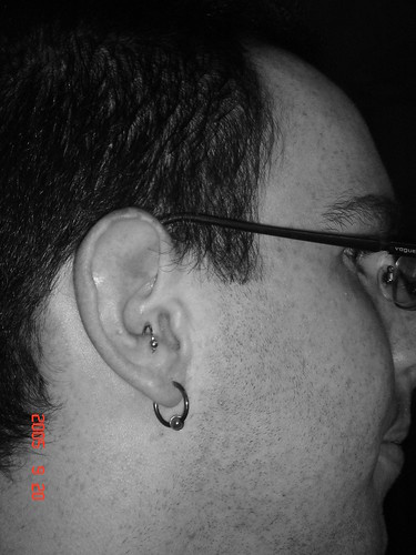 piercings 002 by Piercing Lady. Side angle of anti tragus.