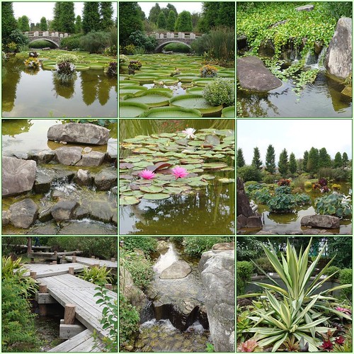 Mizunomori Gardens