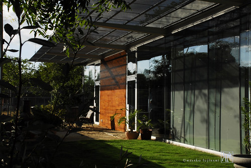 Green House | House Architecture